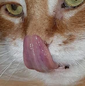 Meet your Posher, Andreas